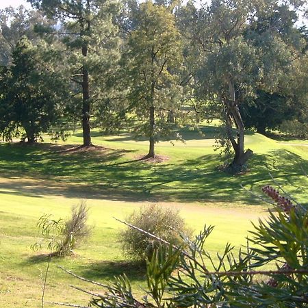 Commercial Golf Resort Albury Zewnętrze zdjęcie