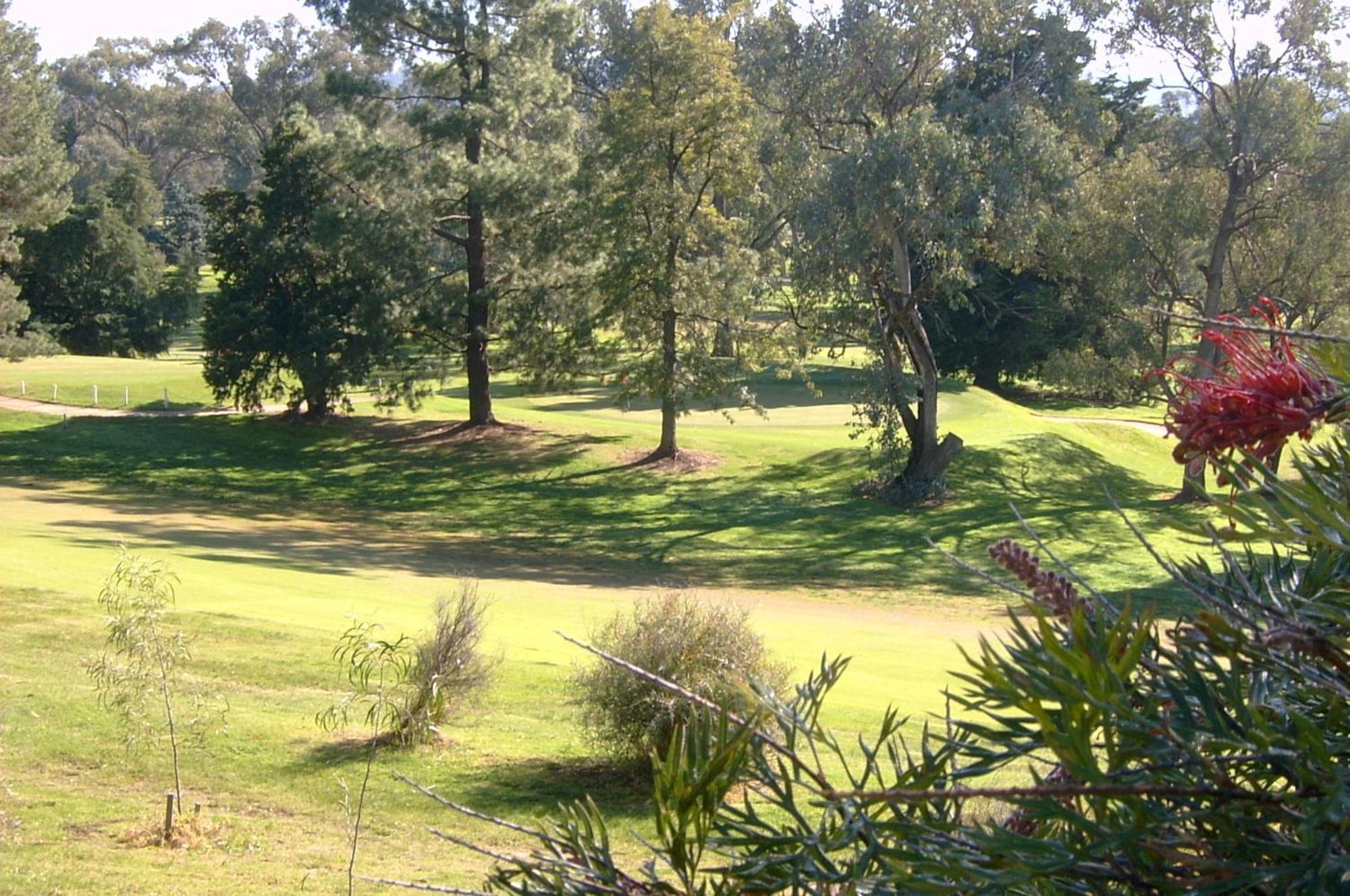 Commercial Golf Resort Albury Zewnętrze zdjęcie